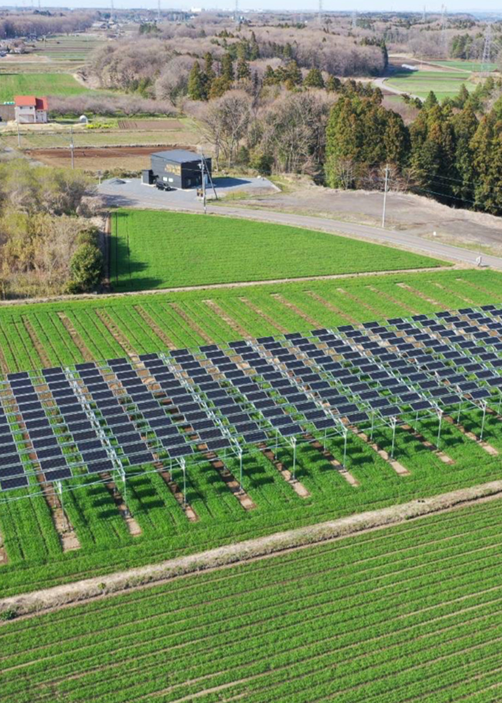 田んぼの上に太陽光パネル！農業６次産業化へのチャレンジ