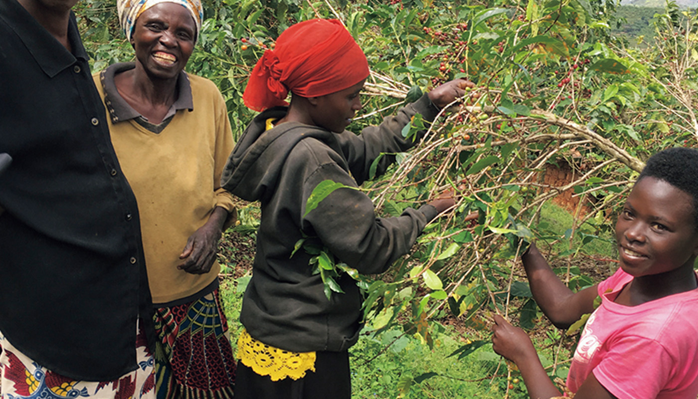 ルワンダの復興を支えた「女性による女性のための」コーヒー農園
