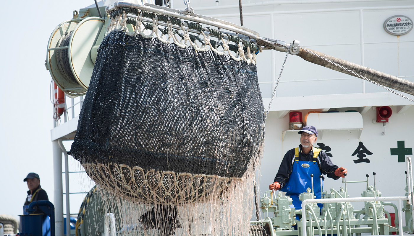 養殖の未来のために……｢北海道マイワシ漁業改善プロジェクト｣始動！
