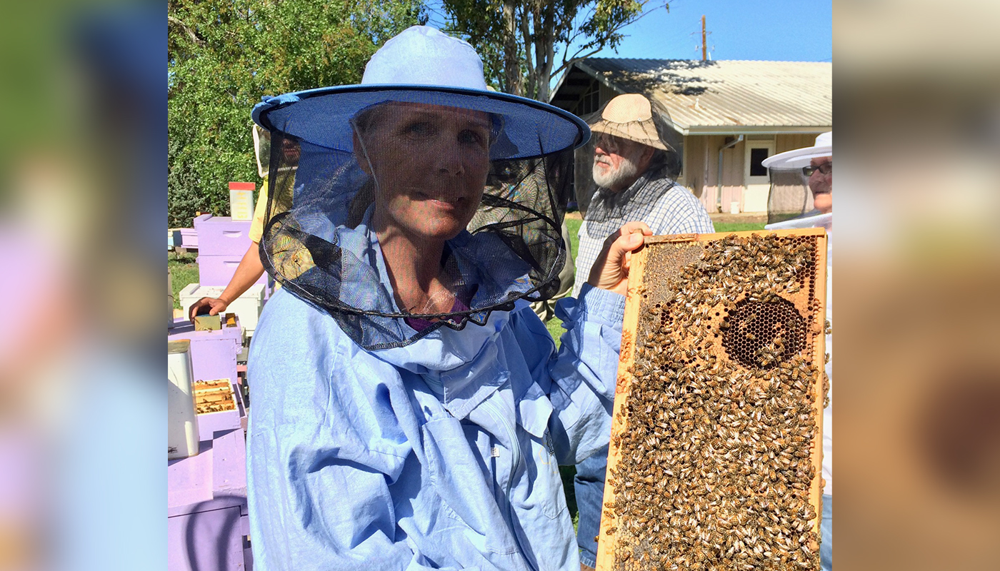 アメリカのアーモンド農家とミツバチの幸せな共生を目指す「アーモンドプロジェクト」