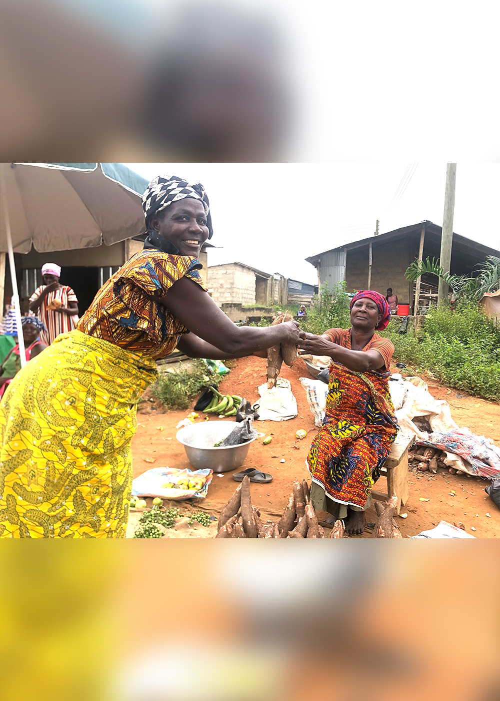 みなさんの投票で実現！　ガーナ女性たちの“自立の芽”を育んだ「プロジェクト・シーズン3」