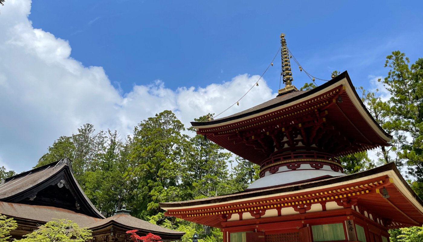 日本最古の宗教都市｢高野山｣には､1200年前からSDGsがあった！