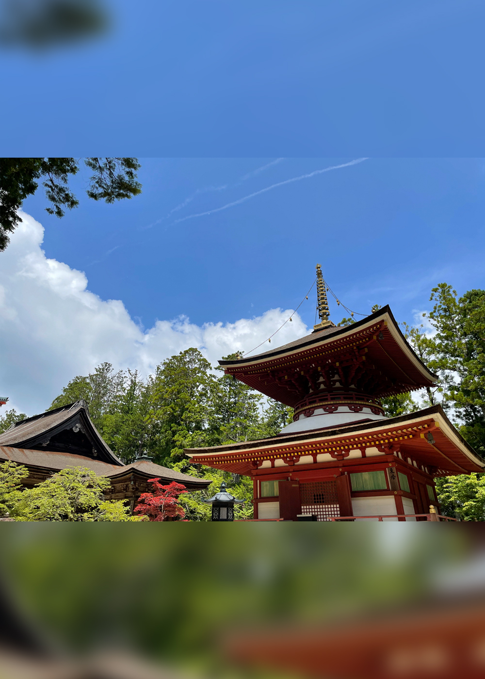日本最古の宗教都市｢高野山｣には､1200年前からSDGsがあった！