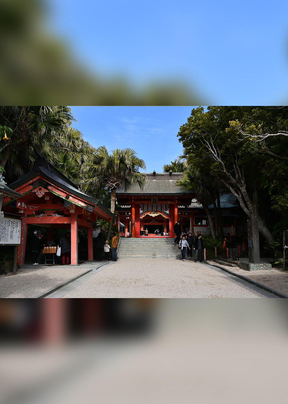 南国･宮崎のパワースポットで開運！ 恋愛&ビジネスにご利益ありの神社を巡る旅