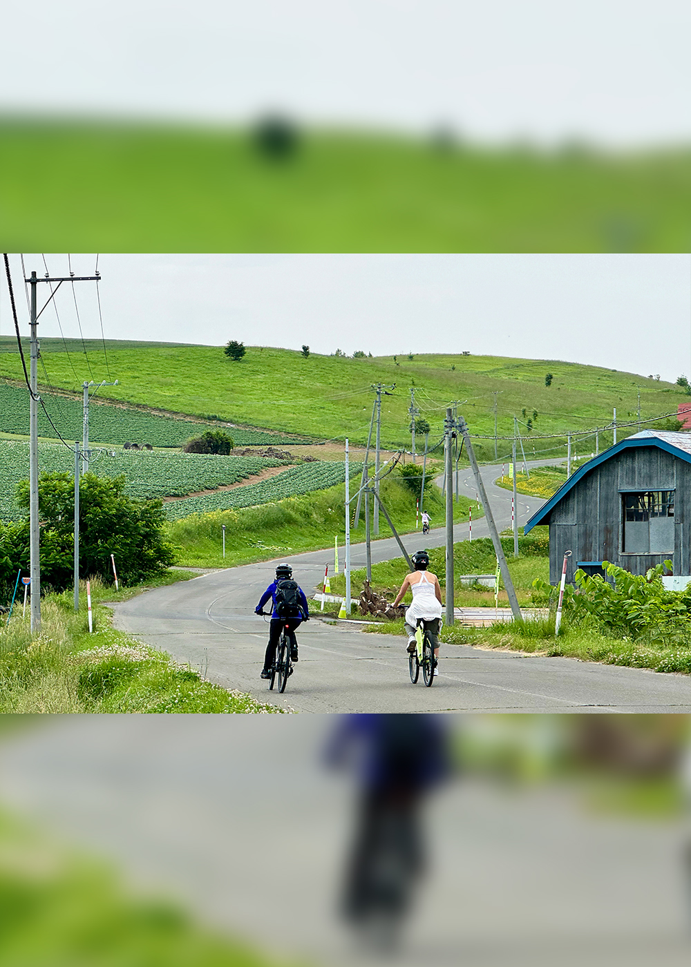 電動自転車で富良野を走ってピザづくり＆ワイナリーへ！ 動物にも癒やされる旅【後編】