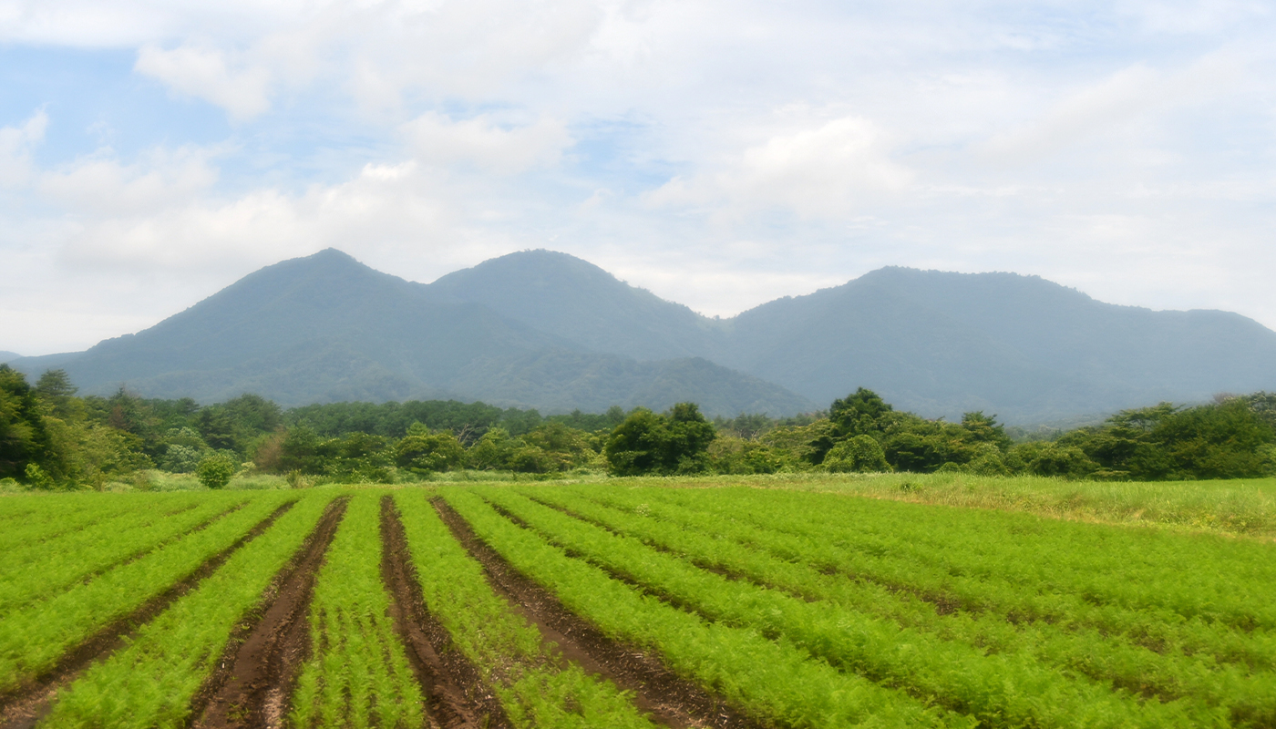 高原リゾートで快適サイクリング！　「フェアフィールド･バイ･マリオット･岡山蒜山高原」を起点にサステナブルを学ぶ