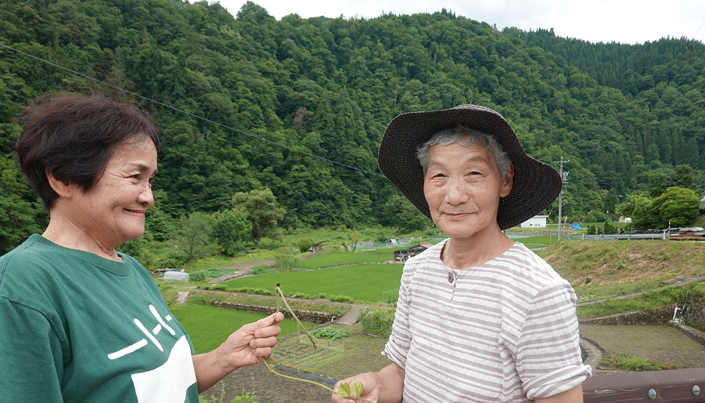 “ただの雑草”は宝の山!? 飛騨の山奥で出合った｢野草研究グループ｣とは？【第２回】