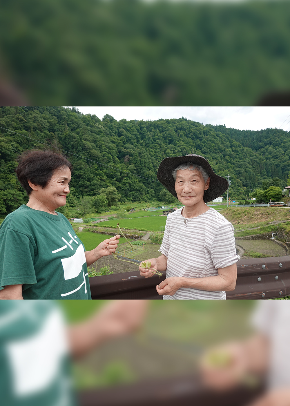 “ただの雑草”は宝の山!? 飛騨の山奥で出合った｢野草研究グループ｣とは？【第２回】