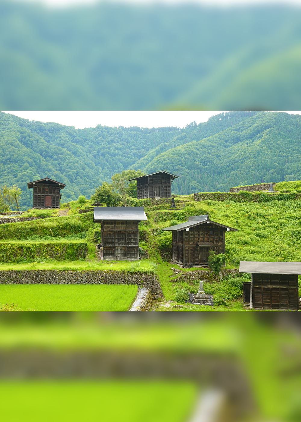 ｢板倉｣が飢餓を､｢石棒｣が世界を救う!? 岐阜･飛騨市で見た先人の知恵【第4回】