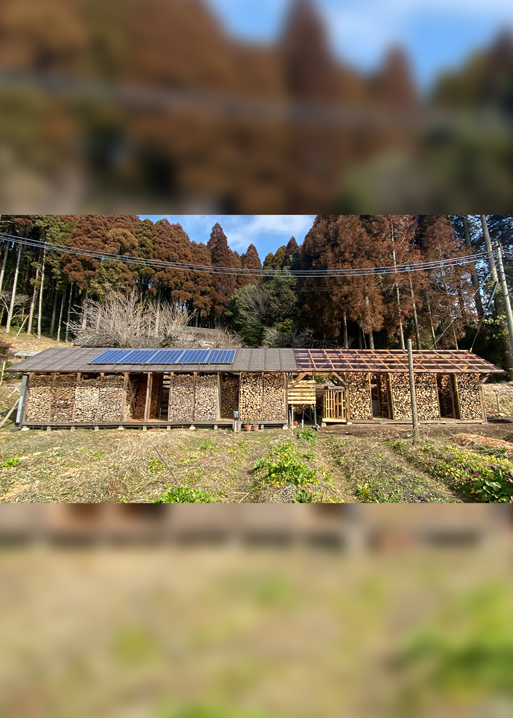 水没危機の｢ツバル｣救済活動をする写真家･遠藤秀一は､なぜ鹿児島で自給自足生活を始めたのか？