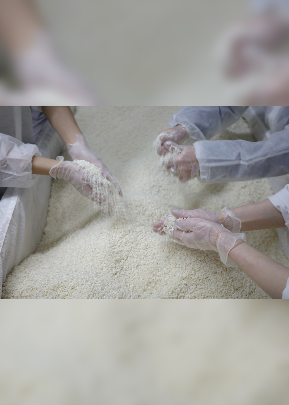 長野･岡谷市の老舗｢若宮糀屋｣が始めた､次世代のための“糀づくり体験プログラム”に挑戦！