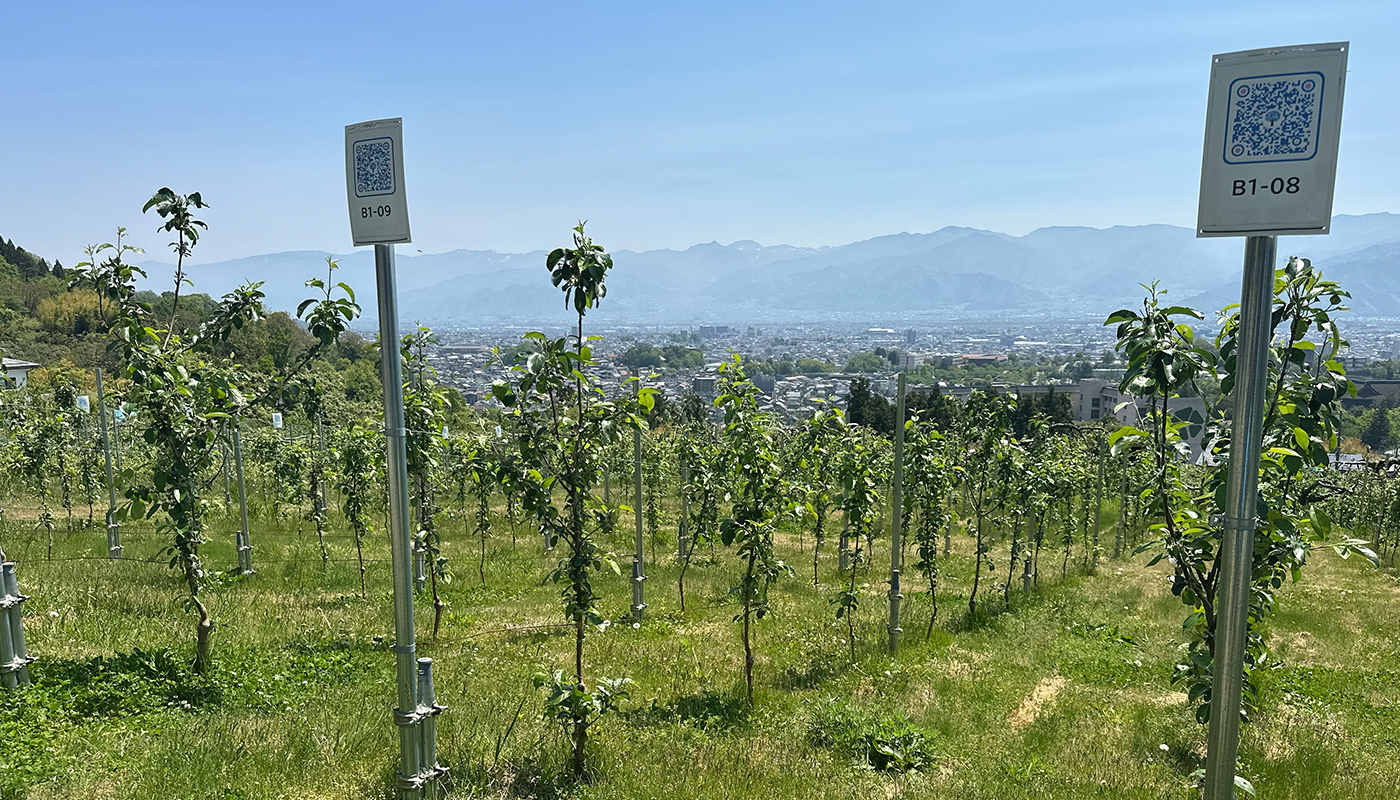 ドローンも農業機械も“昆虫ホテル”も自作！　長野にできた｢ナガノ･ブルワリー｣は､スマート農業と土づくりで地域を守る【後編】