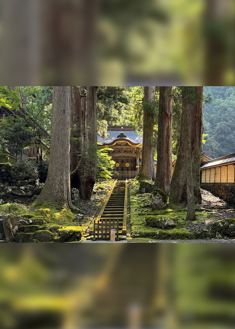 “修行が日本一厳しい”と噂の福井･永平寺で｢起きて半畳､寝て一畳｣生活を体験！