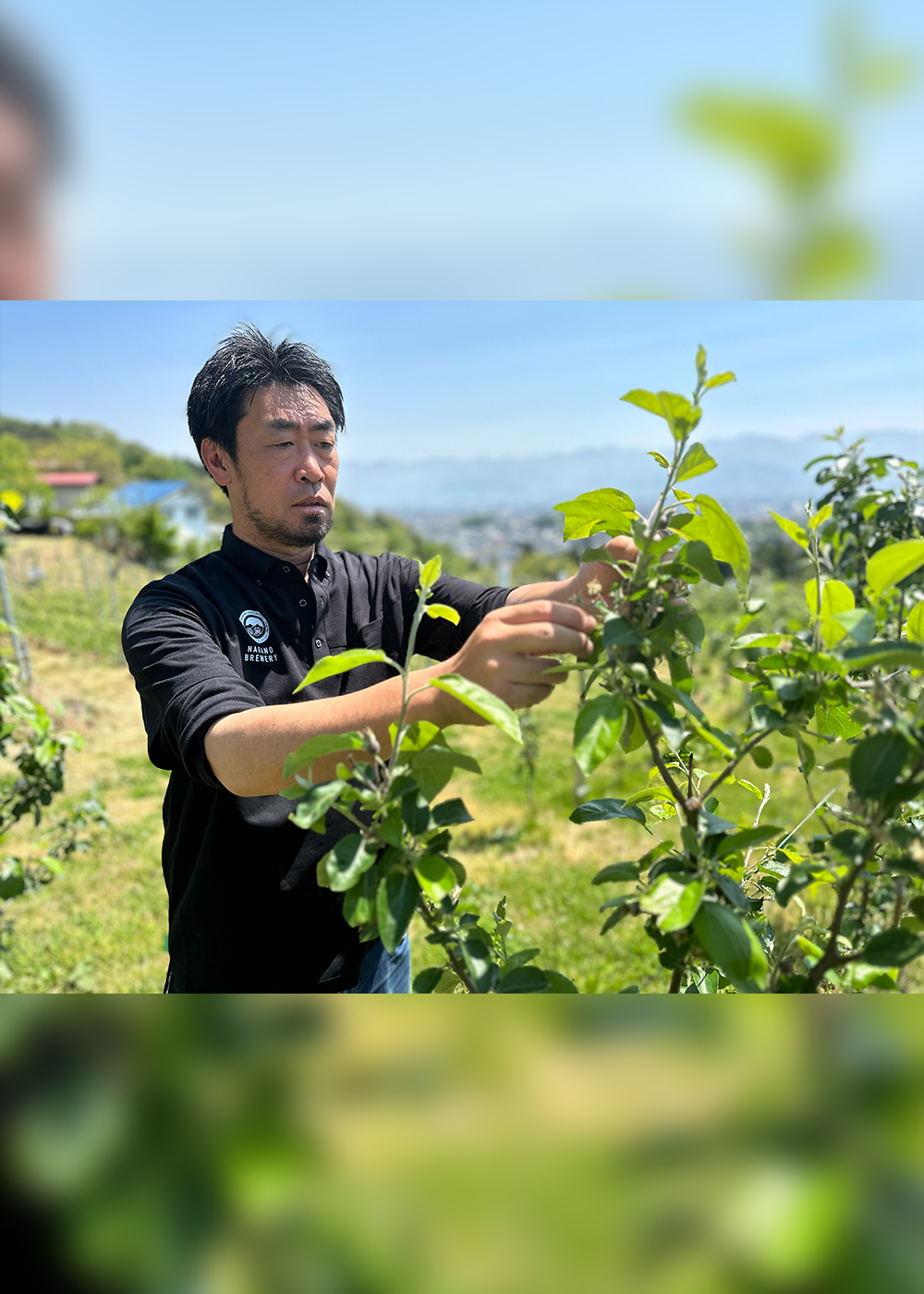 消えゆく農地をクラフトビールで守りたい！　りんご農家５代目＠長野市の挑戦【前編】