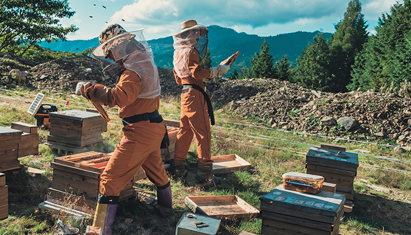 伐倒アクティビティに商品開発…村の存続をかけたユニークな取り組み