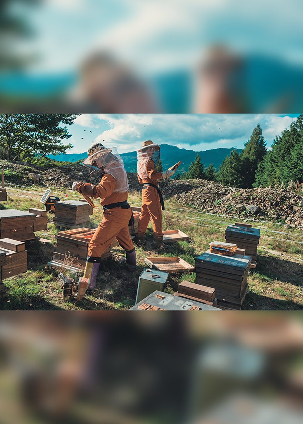 伐倒アクティビティに商品開発…村の存続をかけたユニークな取り組み