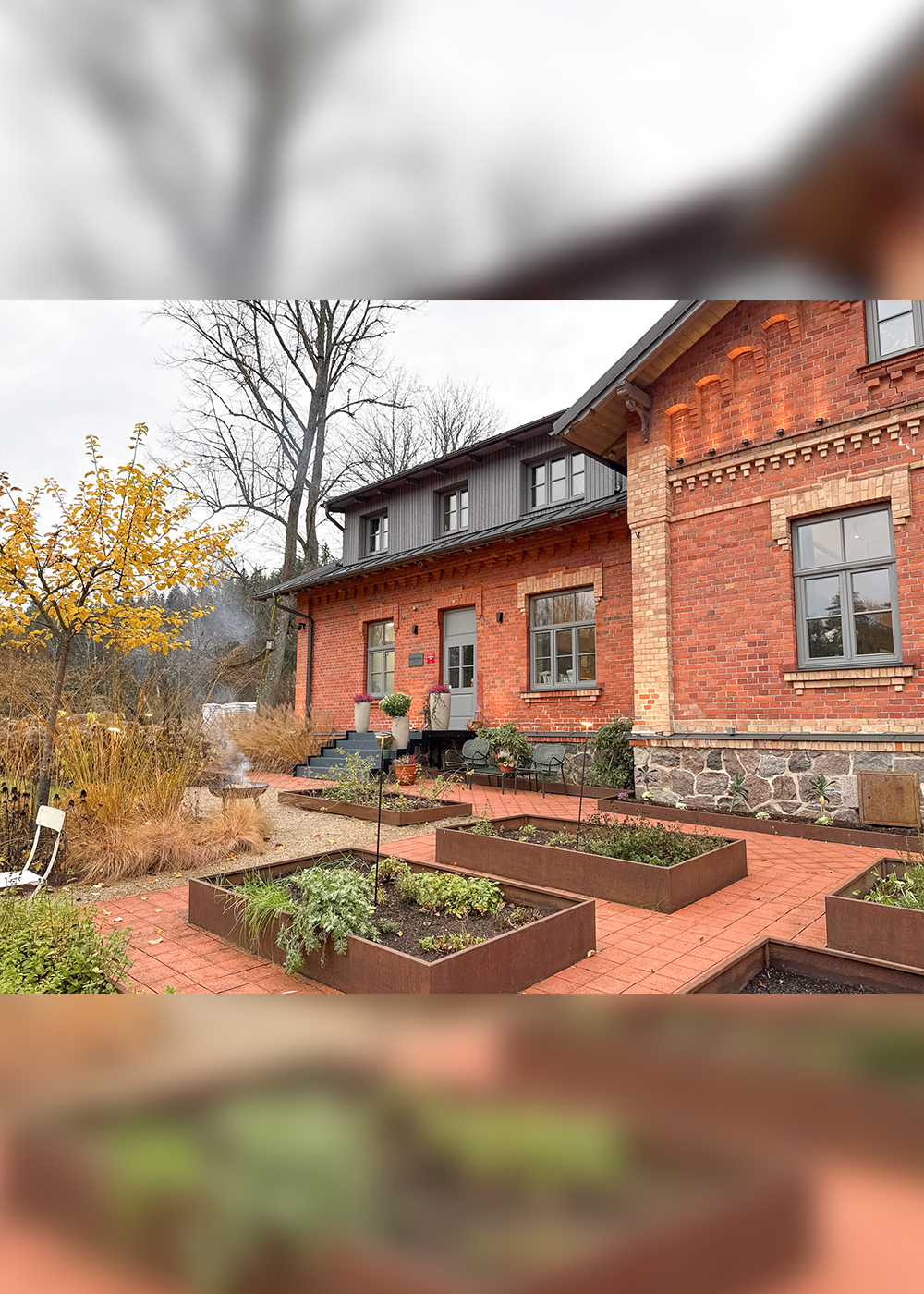 ラトビア共和国への旅③ 魂を浄化する古代の習慣。ラトビアの森のウェルネスにひたる一日