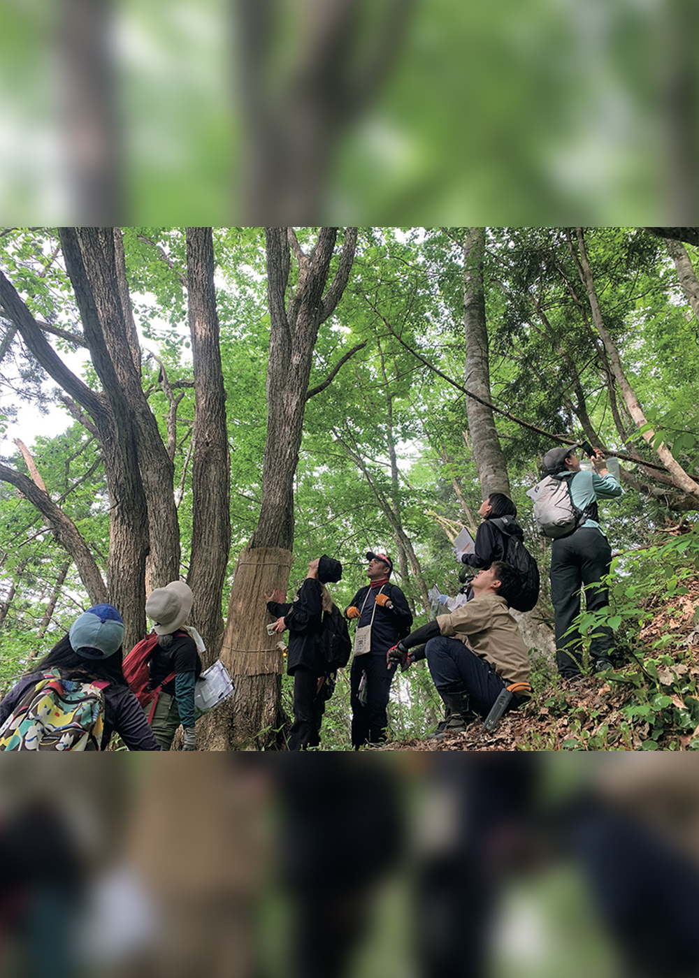飛騨の匠たちのノウハウとテクノロジーの出会いが森を元気に！