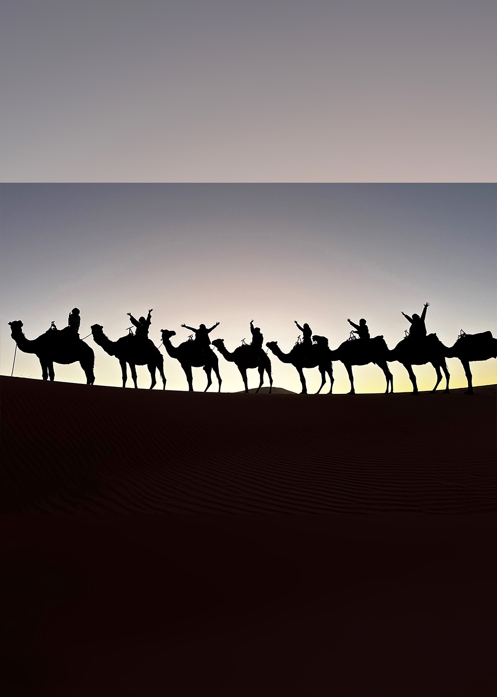 砂漠の民の暮らしに学び、化石をつうじて大地と対話する。サハラ砂漠の荒野で体験する、究極のエコトラベル