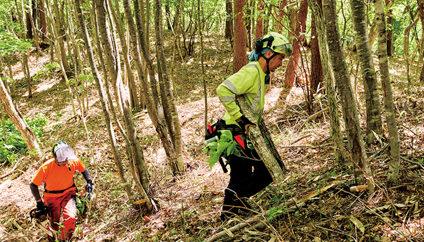 単身移住し「木の素材屋」に転職した元スタイリストがはじめた「新しい山暮らし」