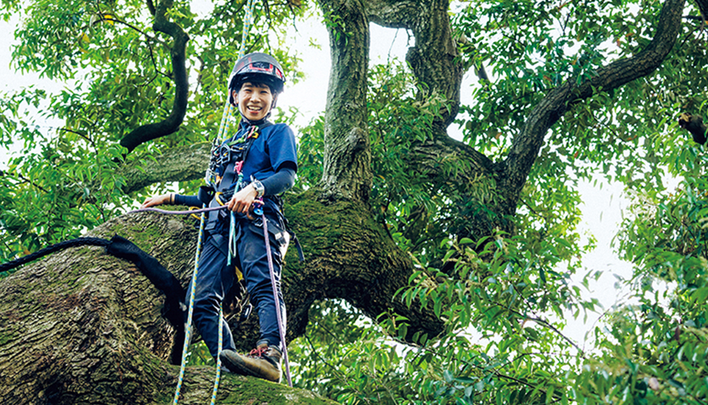 森と木を守って再生させる､｢樹木医｣片岡日出美のプロのワザ