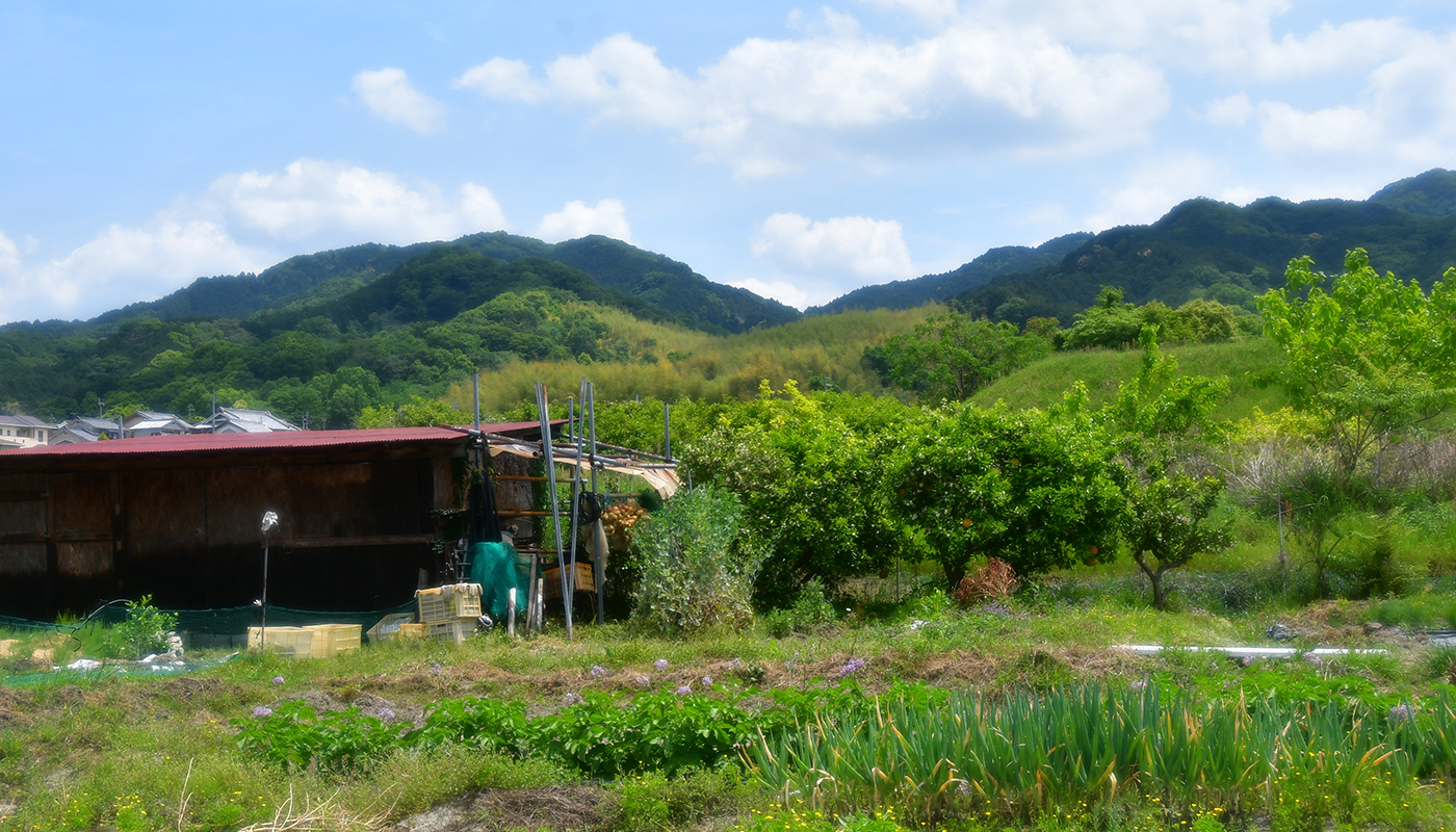 古代日本の中心地で、日本最古の道を歩く！｢フェアフィールド･バイ･マリオット･奈良天理山の辺の道｣が提案する歴史ロマンの旅