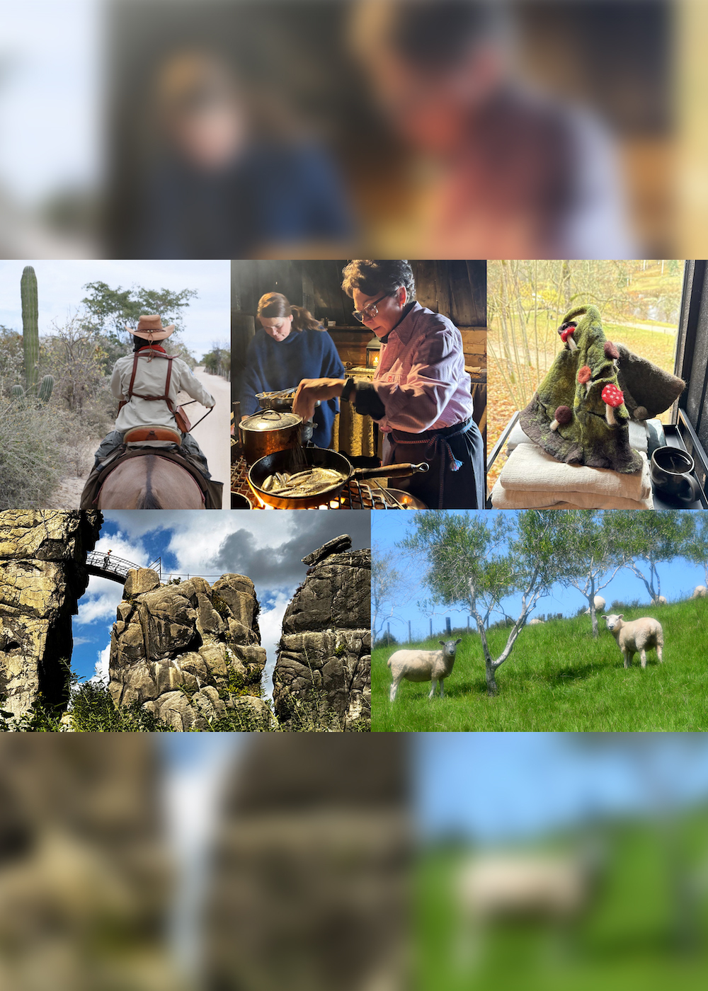 【特集】フィンランドの森からメキシコの砂漠まで　世界５地域に学ぶ｢自然とともに生きるとは｣