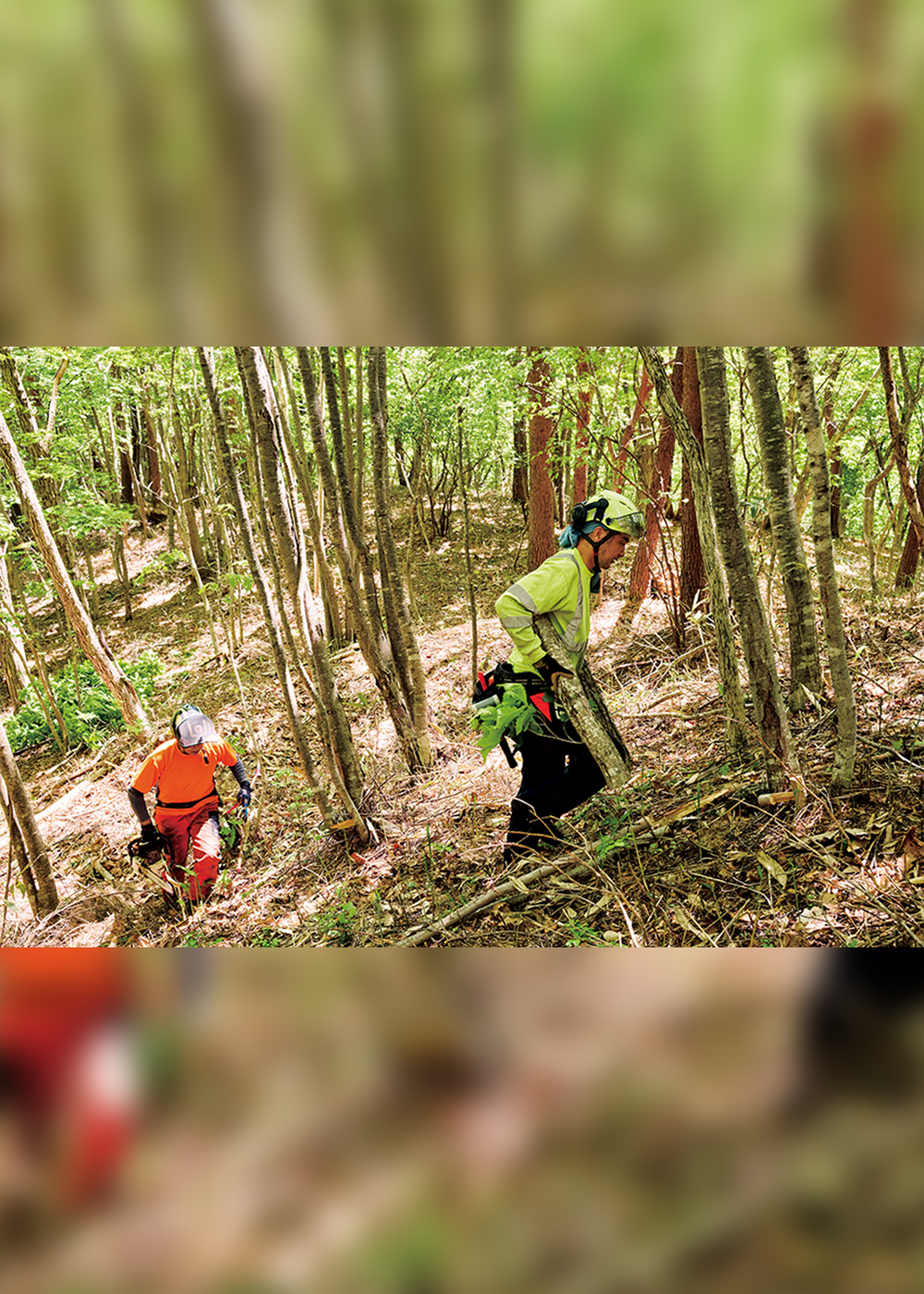 単身移住し「木の素材屋」に転職した元スタイリストがはじめた「新しい山暮らし」