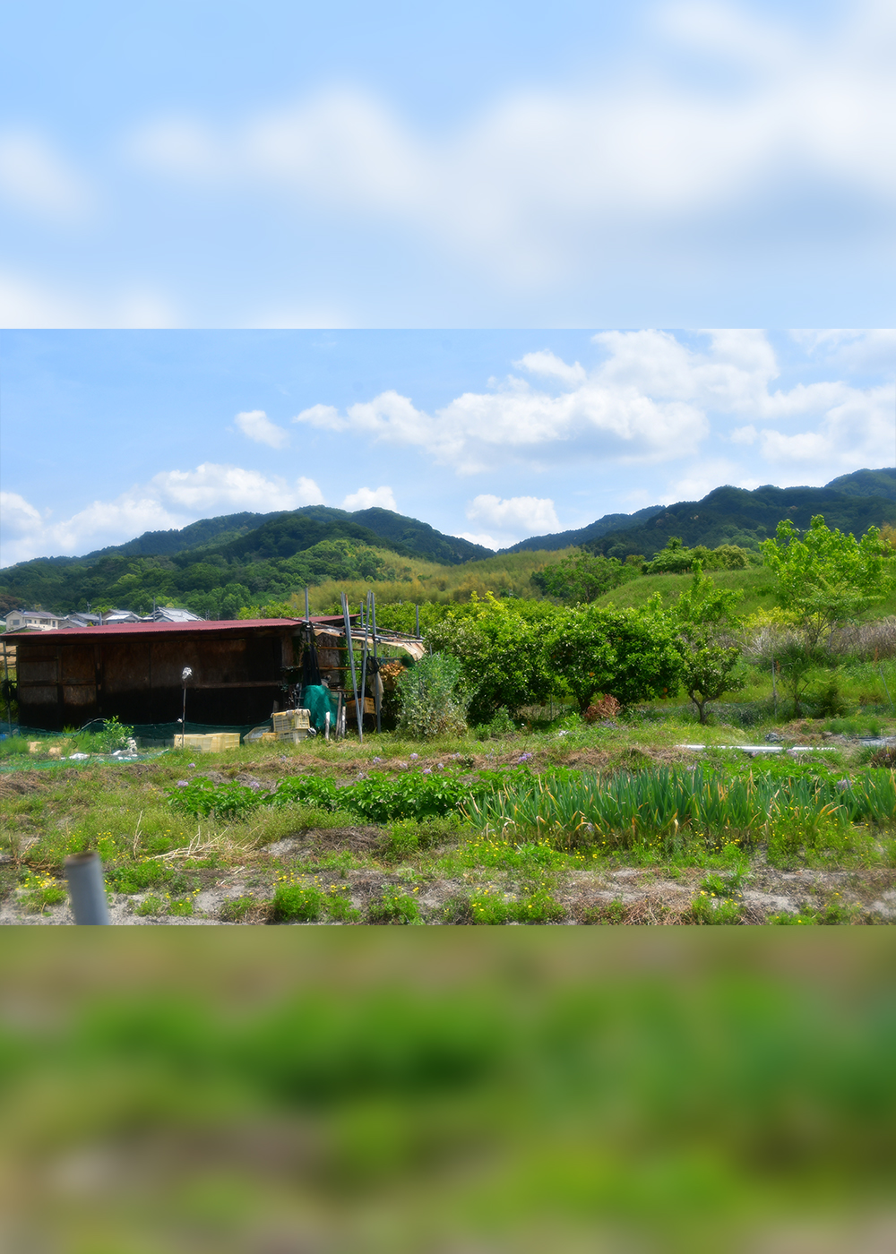古代日本の中心地で、日本最古の道を歩く！｢フェアフィールド･バイ･マリオット･奈良天理山の辺の道｣が提案する歴史ロマンの旅