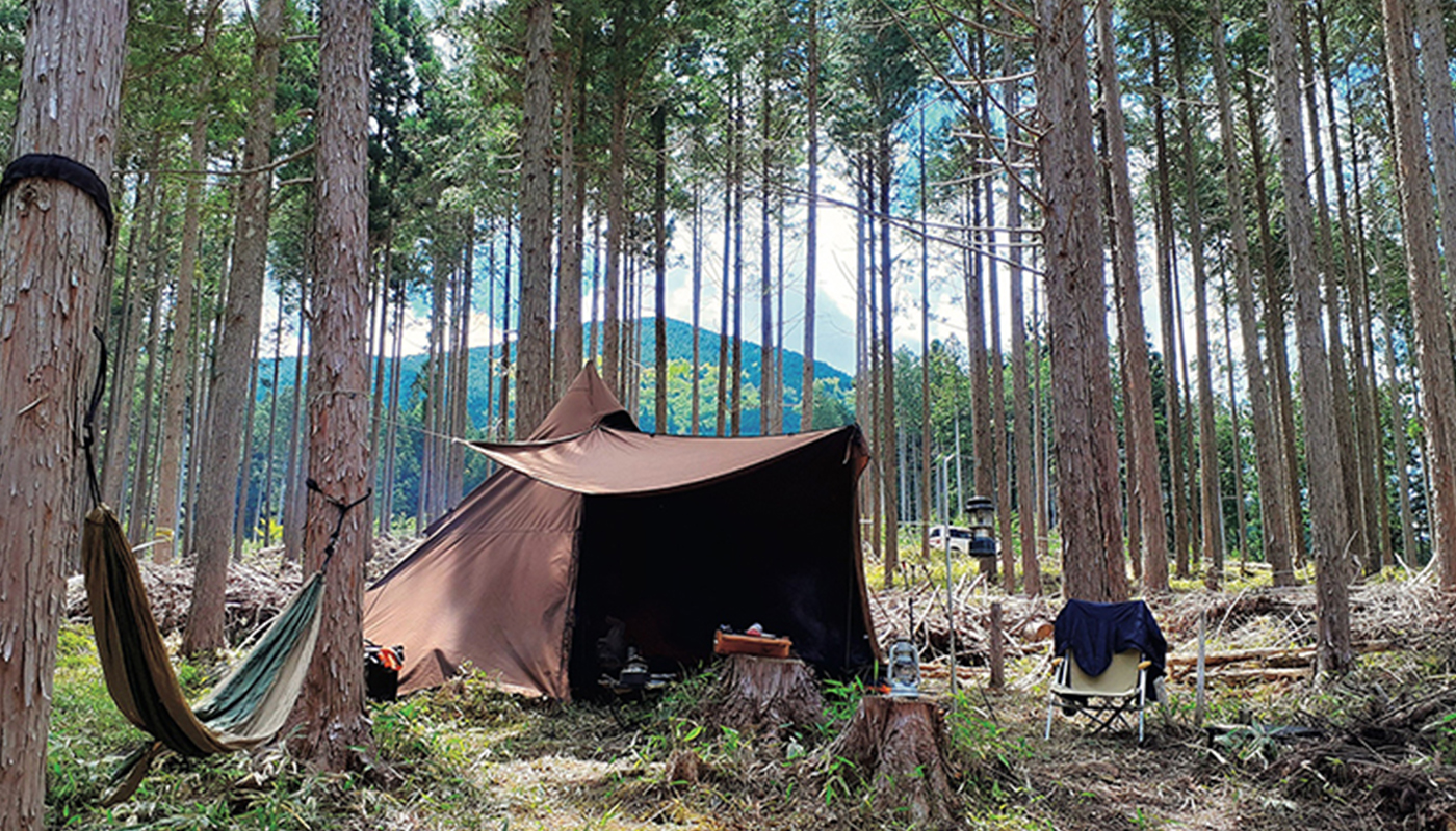 森林の年間契約とブランド化した道産木材で森を元気に！