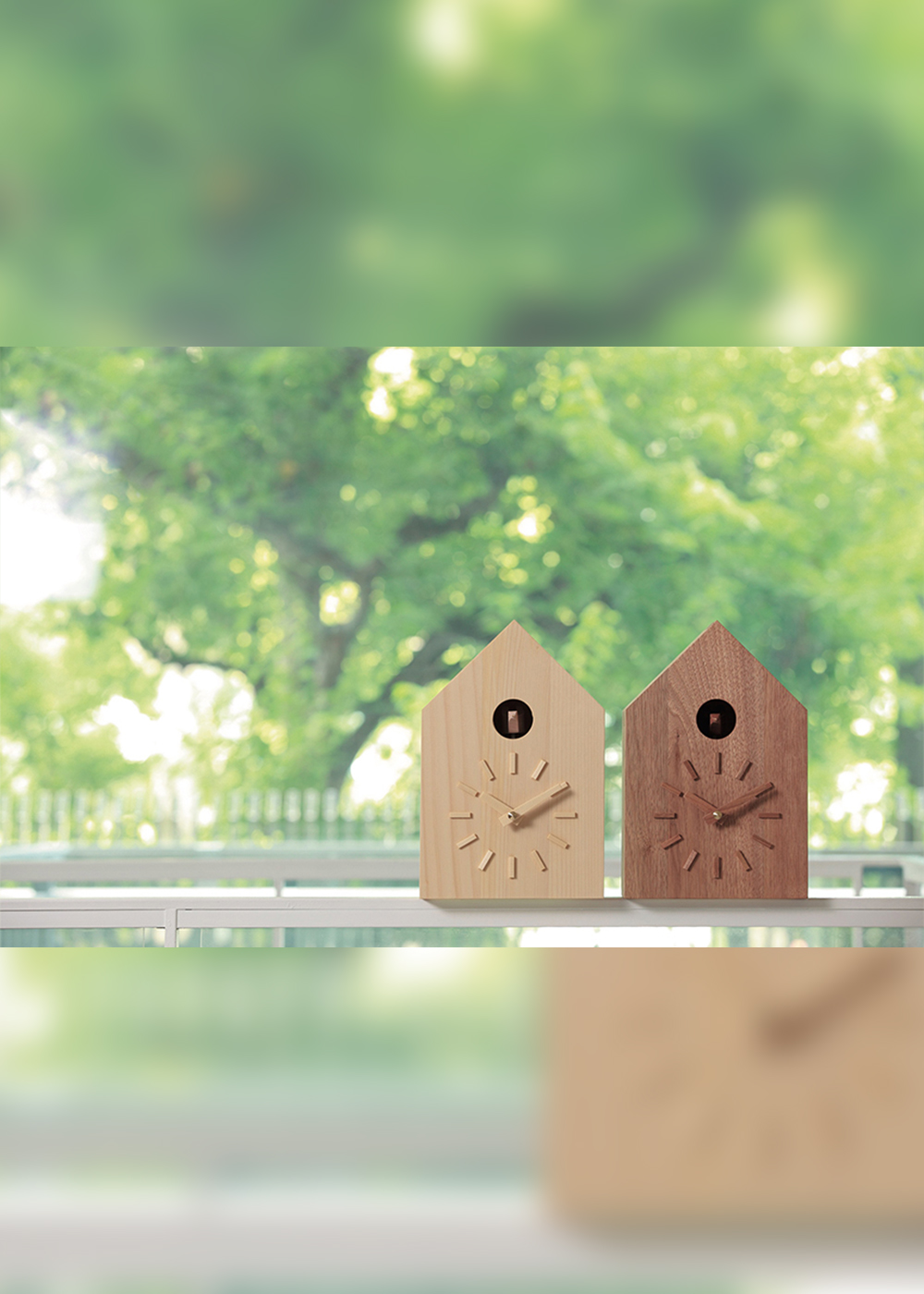 坂本龍一が創立！「日本の森の課題」と向き合う注目のアクション