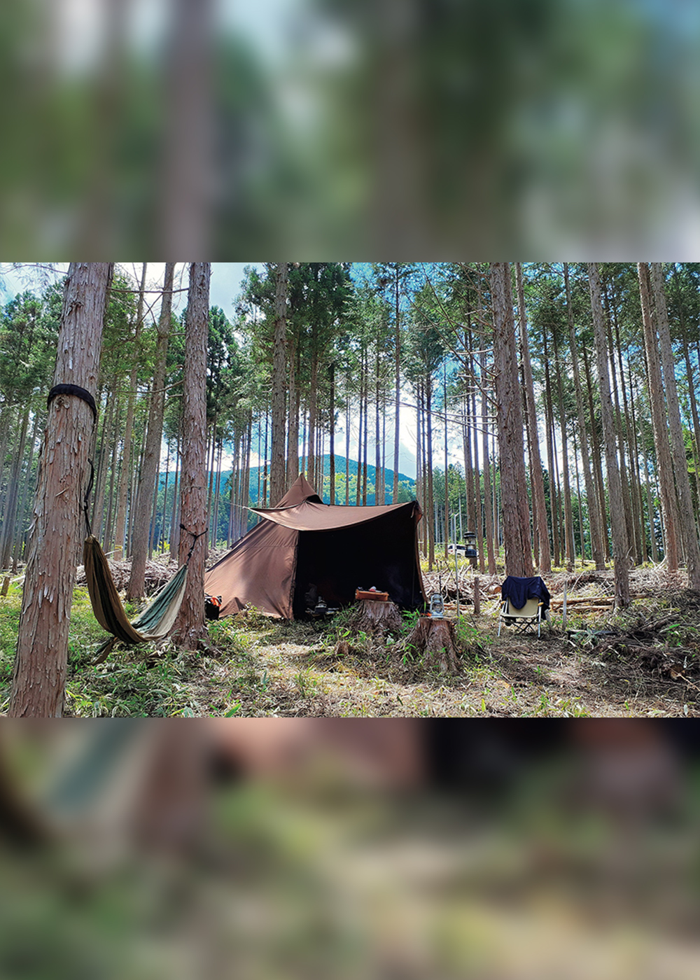 森林の年間契約とブランド化した道産木材で森を元気に！