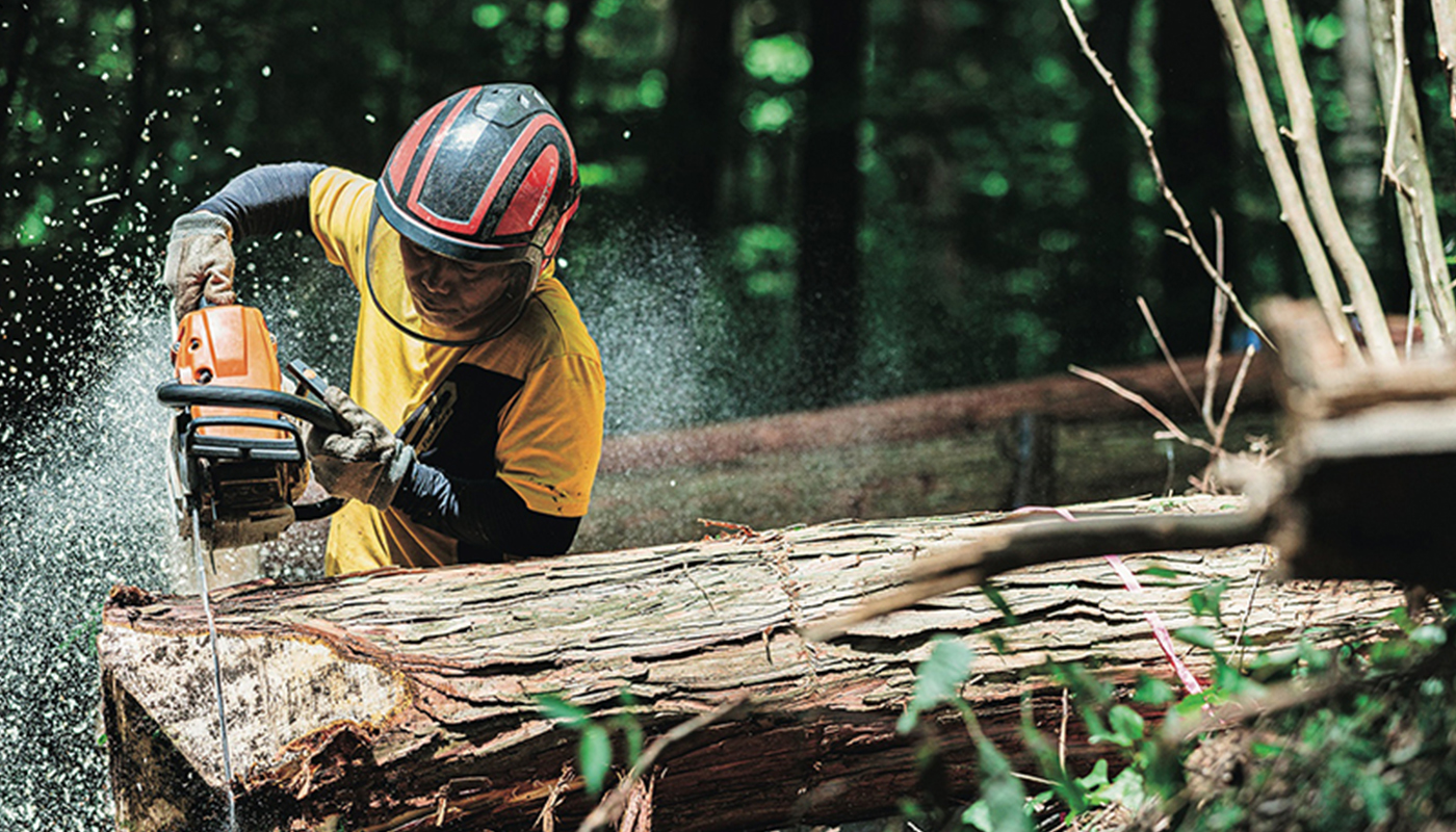 森との共生をめざす取り組み「林業の求人サイト」