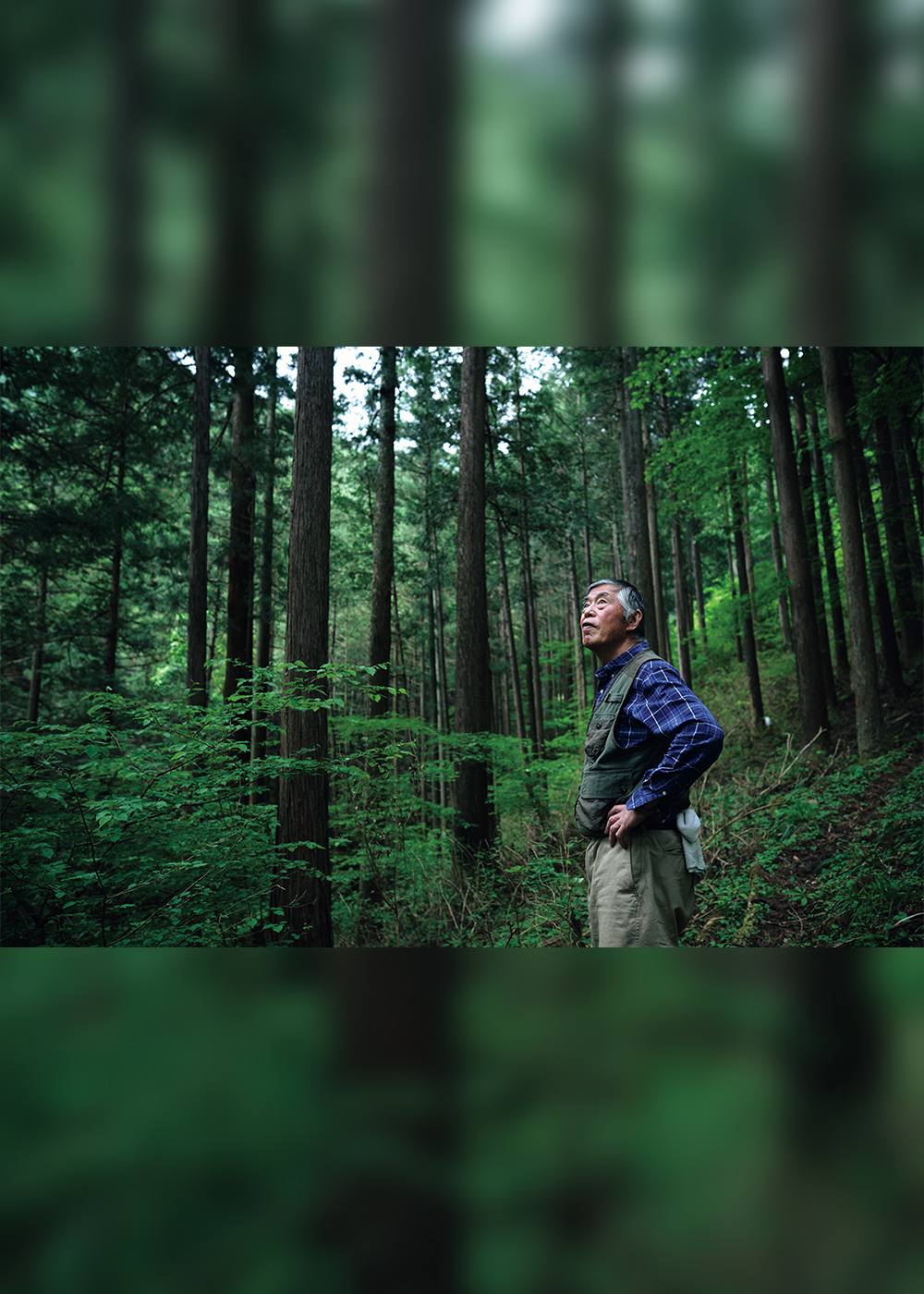 77歳の林業家が語る「次世代へ林業をつなぐため」に必要な３つのこと